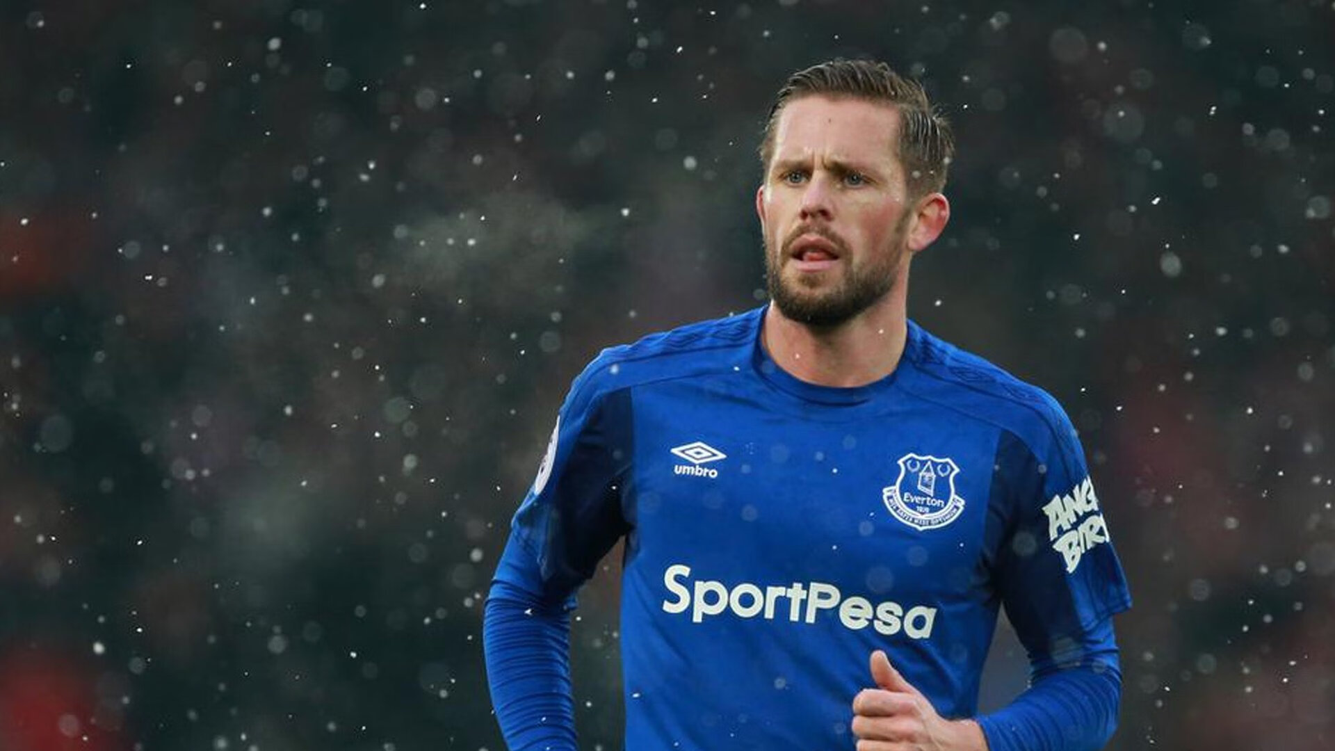 法甲未来之星：新秀爆发，未来闪耀！，faf未来之星