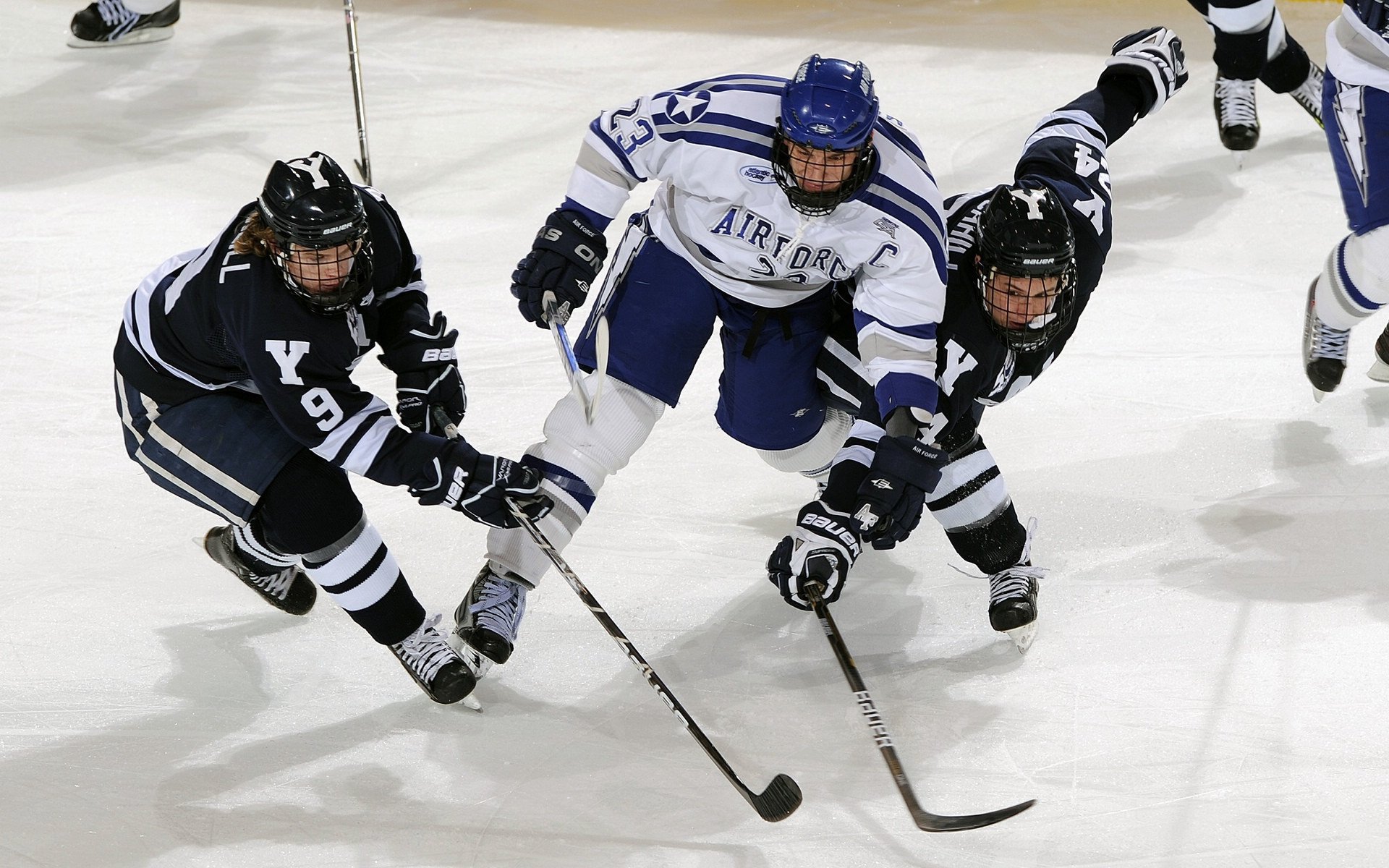 法甲未来之星：新秀爆发，未来闪耀！，faf未来之星